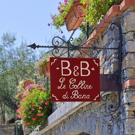 B&B Le Colline Di Bana カモーリ エクステリア 写真