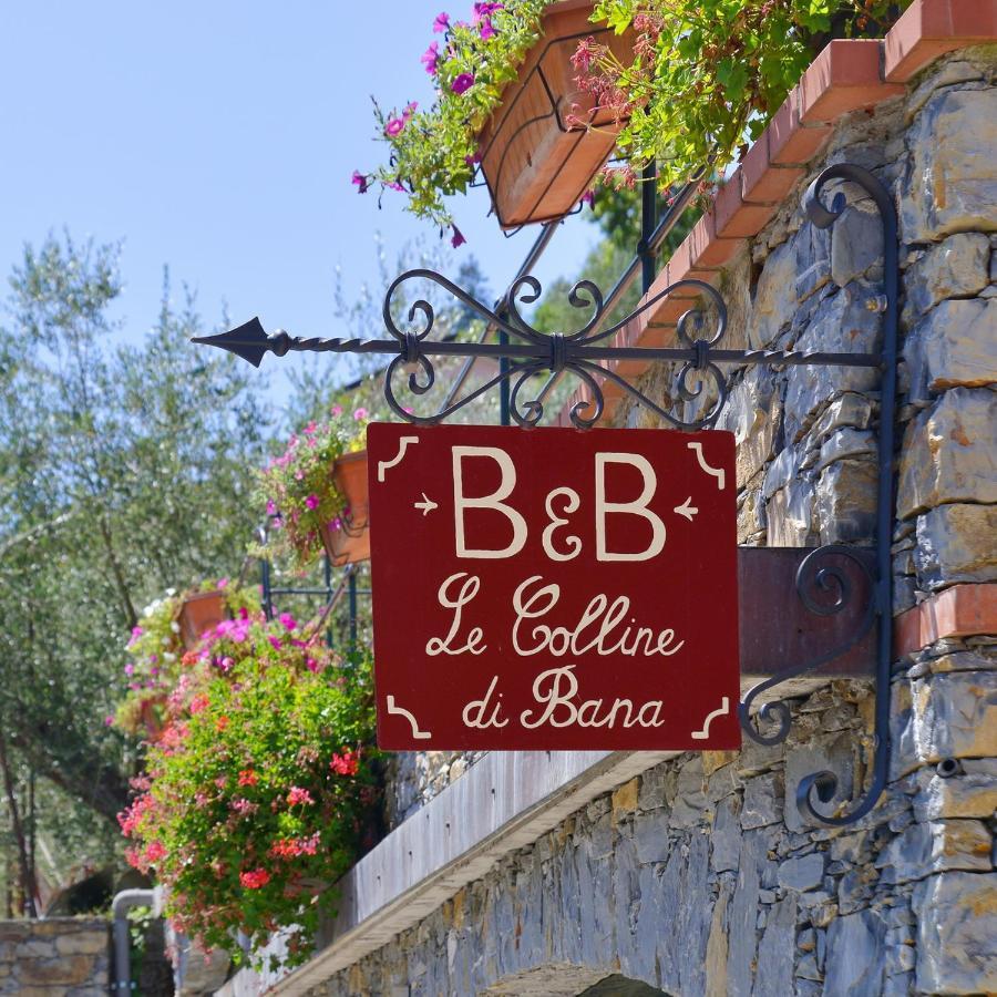 B&B Le Colline Di Bana カモーリ エクステリア 写真