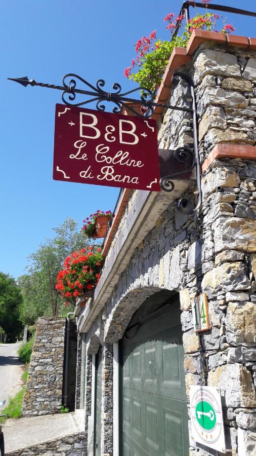 B&B Le Colline Di Bana カモーリ エクステリア 写真