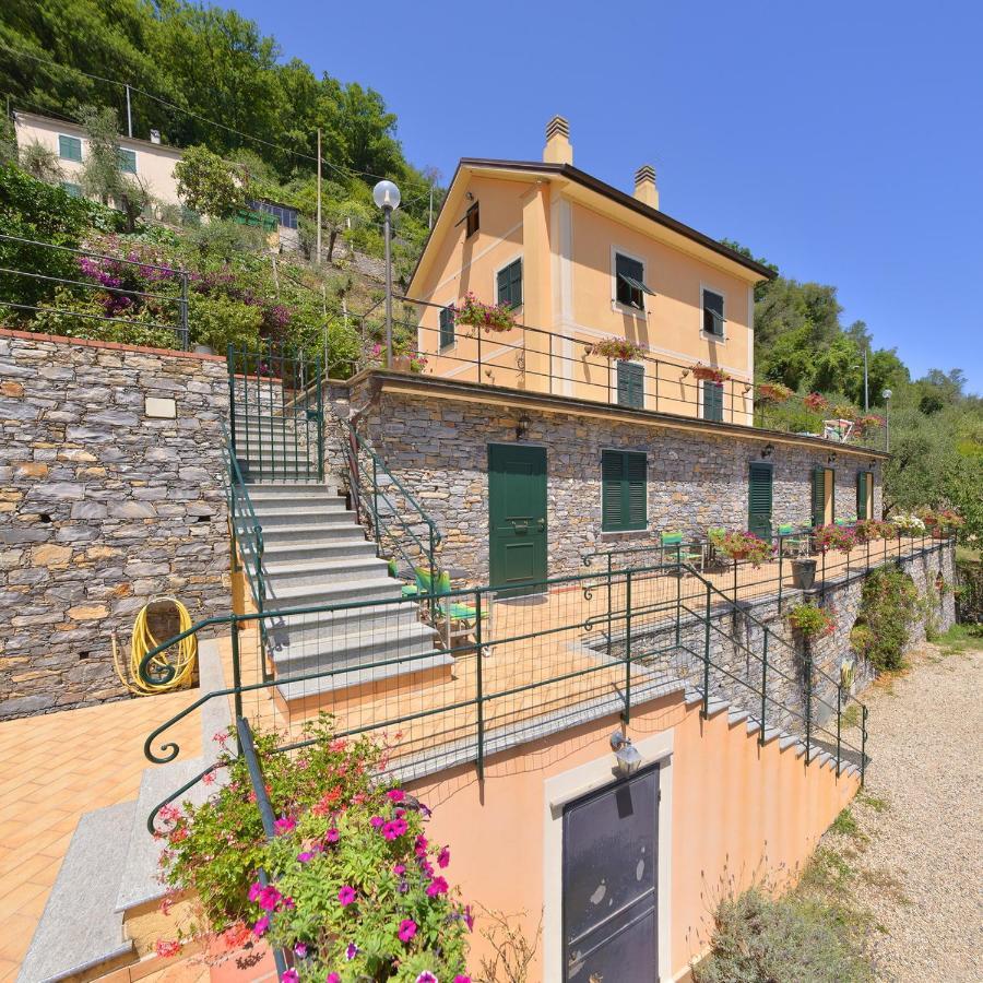 B&B Le Colline Di Bana カモーリ エクステリア 写真