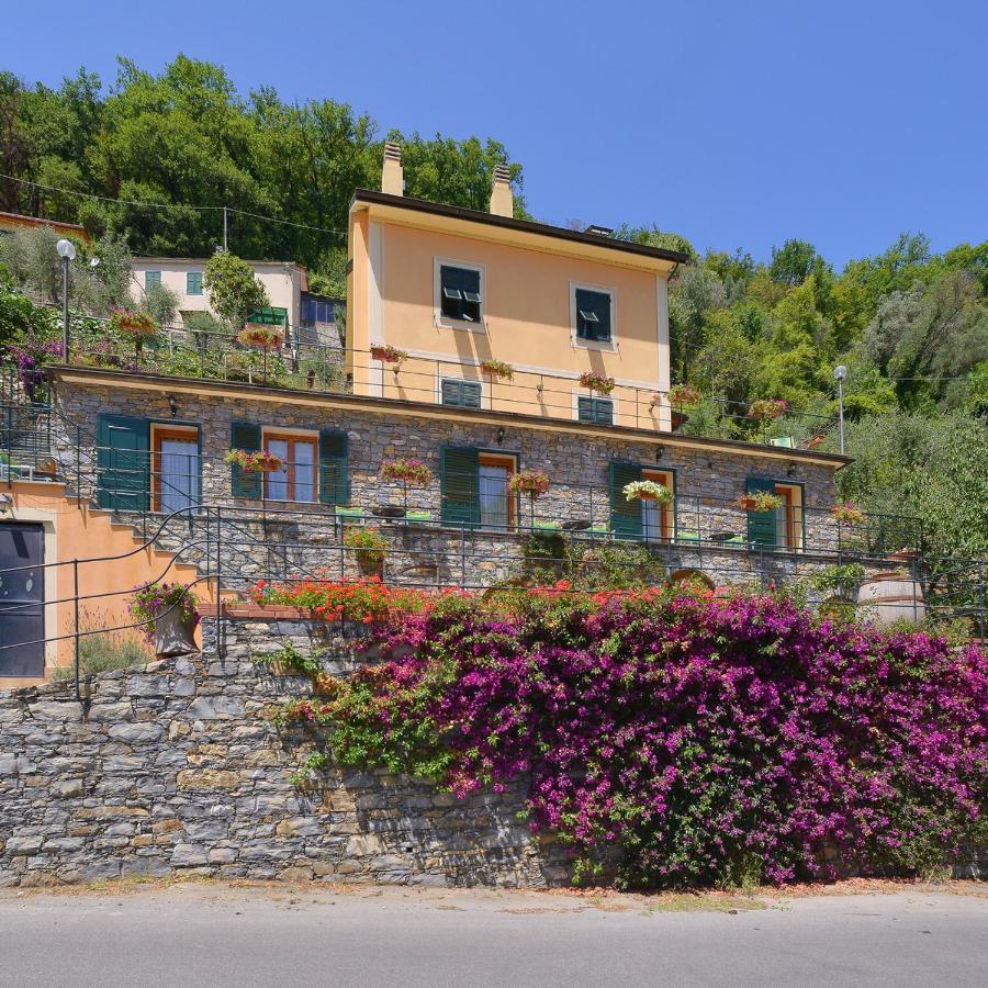B&B Le Colline Di Bana カモーリ エクステリア 写真