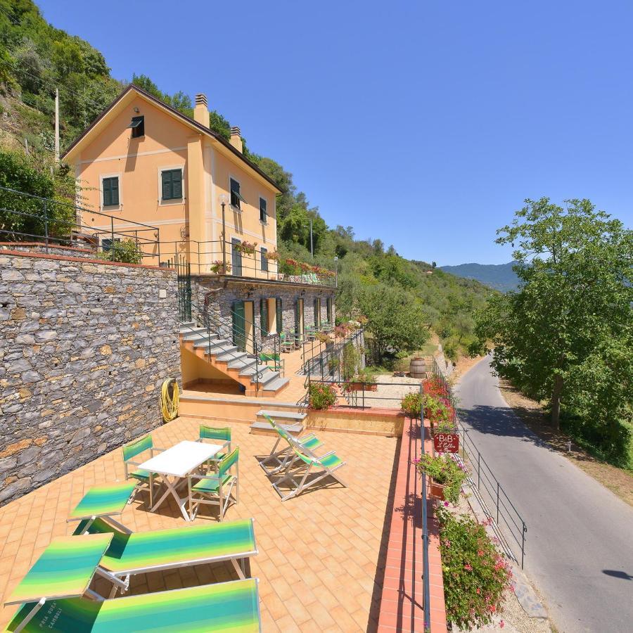 B&B Le Colline Di Bana カモーリ エクステリア 写真