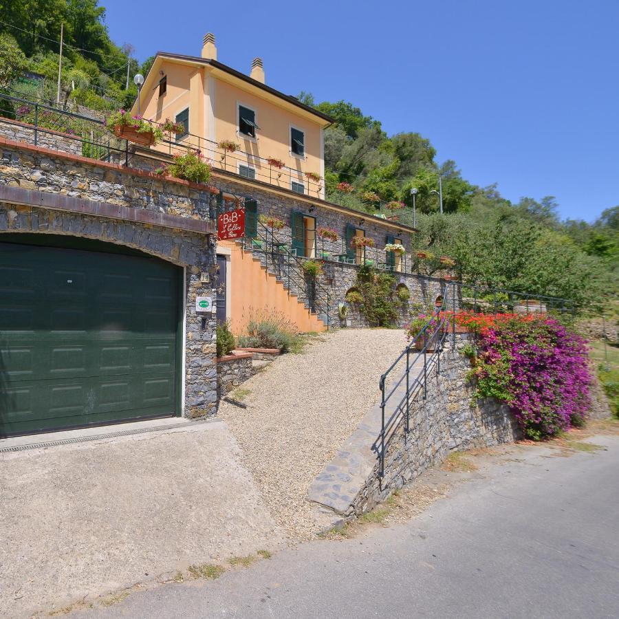 B&B Le Colline Di Bana カモーリ エクステリア 写真