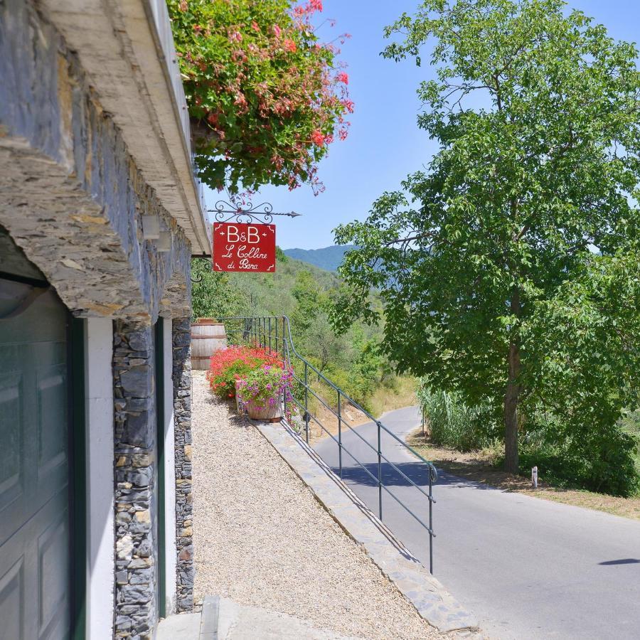 B&B Le Colline Di Bana カモーリ エクステリア 写真
